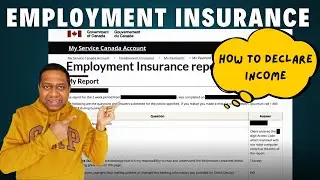 Complete EI Reporting Guide: How to Fill Your EI Report for Claims