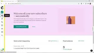 How to Remove Inactive Subscribers from Mailing List on MailChimp