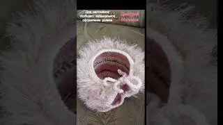 Комплект детский крючком из шерстяной пряжи.