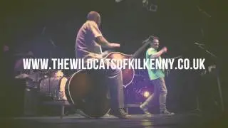 The Wildcats Of Kilkenny - Live...In Our Dirty Old Town - Teaser 2