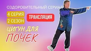 💥 ЦИГУН ДЛЯ ПОЧЕК | 4 серия. 2 сезон | Оздоровительный сериал Виктора Стерликова. Федерация Цигун