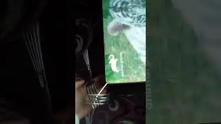 Самая сильная в мире спичка