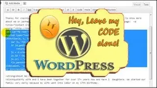 How To Stop Wordpress From Changing HTML/Code/JavaScript Within A Blog Post