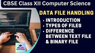 File Handling in Python | Class 12 | Types of Files | CBSE Class 12 Computer Science