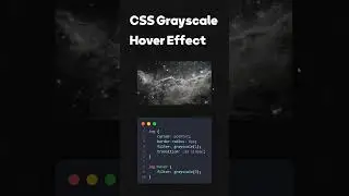 CSS Grayscale Image Hover Effect | 