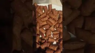 что нашла в еде для животных🙈🥶🤯