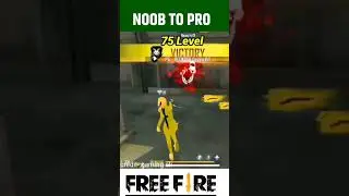 Sad Story of Noob to Pro 