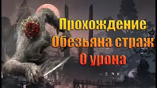Sekiro. Обезьяна страж. 0 урона