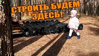 Купили заброшенную дачу.  Подготовка к стройке.