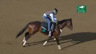 Raise Cain Work at Keeneland April 20, 2023