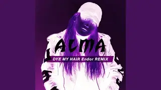 Dye My Hair (Endor Remix)