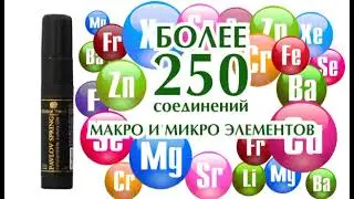 Павлов спринг