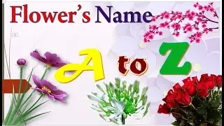 🌼🌷🌻🌺 Alphabetically Flower's Name with image🌼🌷🌻🌺A to Z Flower's Name💐⚘