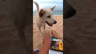 Quick painting at the beach with a little cute visitor