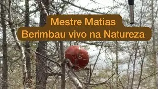 Berimbau vivo Mestre Matias armou Berimbau sem cortar a madeira