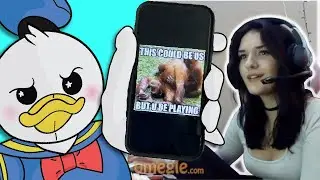 OMEGLE PICKUP LINES with Donald (Voice Trolling)