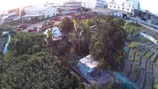 FreeX  初夏快樂飛行
