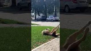 Счастье есть
