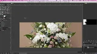 GIMP 花の画像の背景をできるだけ綺麗に白色に変える方法（切り抜きも可）