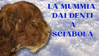 La MUMMIA dai DENTI a SCIABOLA ! con Simone Zoccante e Ivan Iofrida