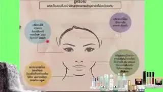 #รู้หรือไม่แต่ละโซนบนใบหน้ามีปัญหาผิวไม่เหมือนกัน