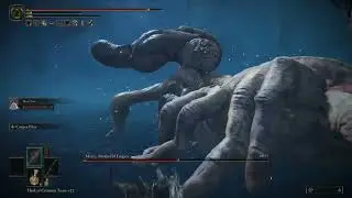 Metyr, Mother of the Finger Boss Fight { Elden ring } Bleed Dmg