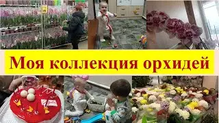 VLOG: Моя коллекция орхидей 🤗Поездка в Ставрополь в Планета лето 😉 4.03.2023 г.