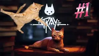 Бездомный Кошак #1 Stray
