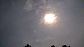 2019/07/17 10:09:41 Just a sunny day