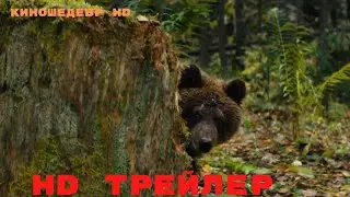 Пальма 2  Фильм  Трейлер 2024