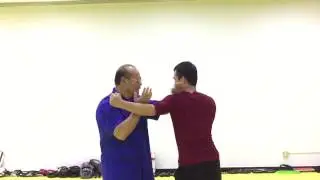 加勒比海 庫拉索詠春拳陳煜釗詠春武术国际黐手教学。