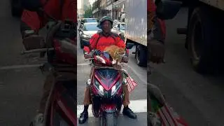 If you think New York is boring, watch this: Serbian President, cat on a bike, UFO, snipers, etc.