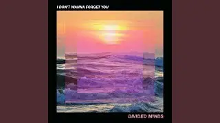 I Don't Wanna Forget You