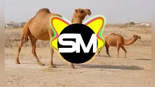 На горе стоит верблюд (Remix)