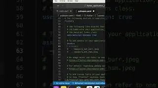 Flutter Essentials: How to Use the Image Widget with Assets