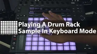 Ableton Push 2 - Play The Pitch Of A Drum Rack Sample In Keyboard Mode @PushTutorials