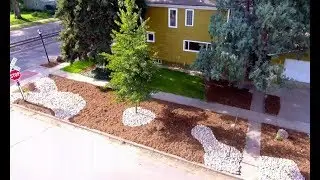 Low Budget, Low Maintenance Landscaping