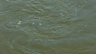 Водоворот на Волге. т/х 