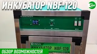 Инкубатор NBF-120