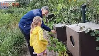 Zintuigentuin Barneveld - Instructiedag bijen en vlinders