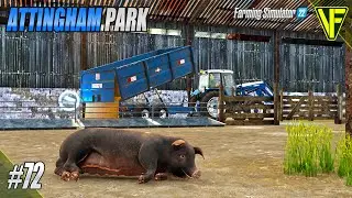 Remember The Pigs! | Attingham Park | Farming Simulator 22