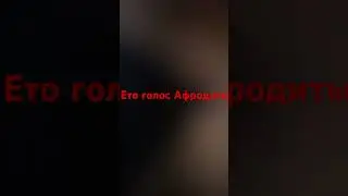 6 апреля 2024 г.