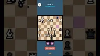 Solving chess puzzle