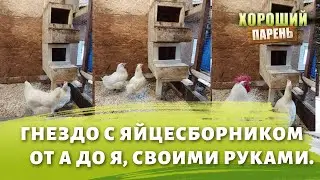 How to make a nest for chickens with an egg collector.
