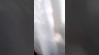 11 января 2021 г.
