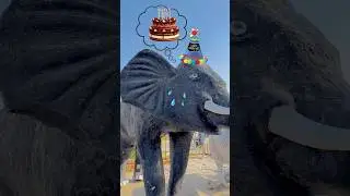 Cute Elephant ki birthday 🥲❤️|