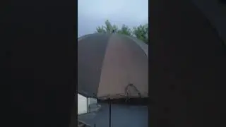 вечерний выпуск)