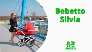 Универсальная коляска 2в1 Bebetto Silvia