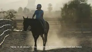 Friendship between a girl and a horse