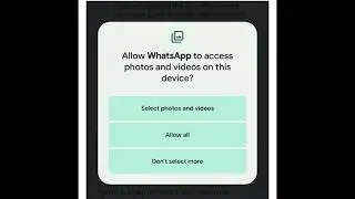 Android 14 confirm features